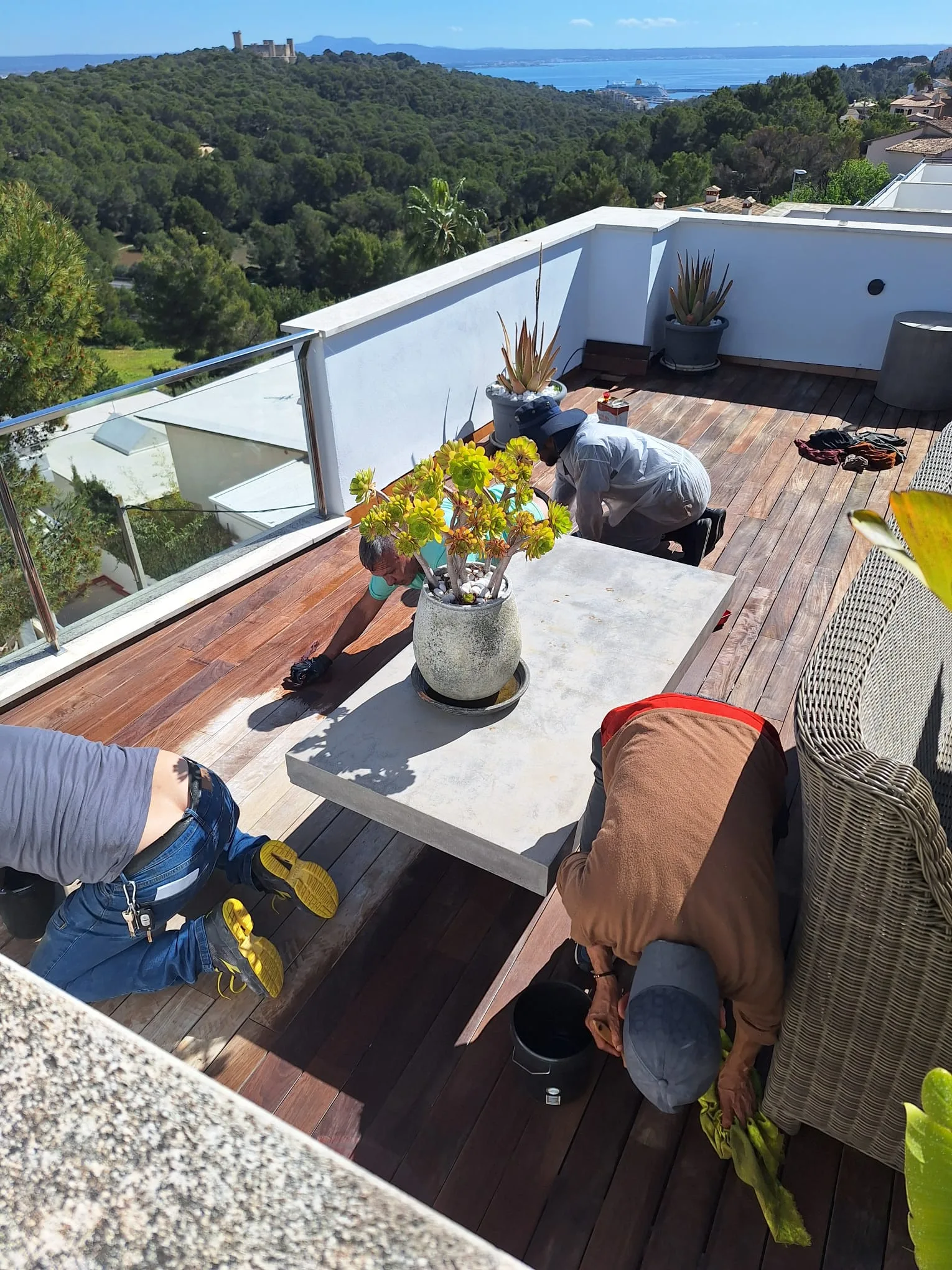 busca-sobre-newhouse-mallorca